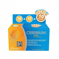 Cerebrum Forte Amp Beb X30+Of Amp X10